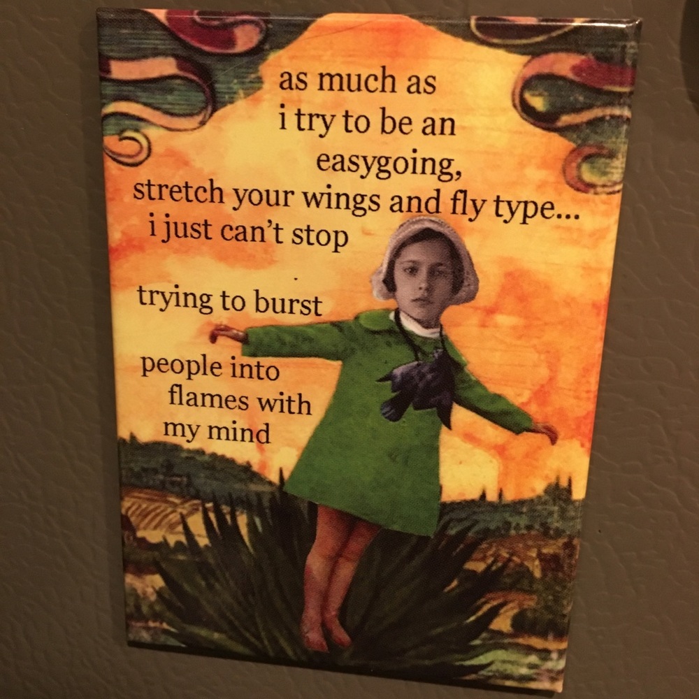 Sassy Magnet
